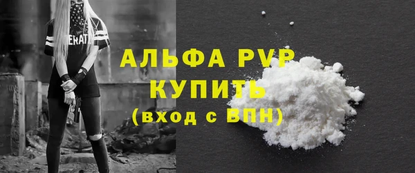 хмурый Верея