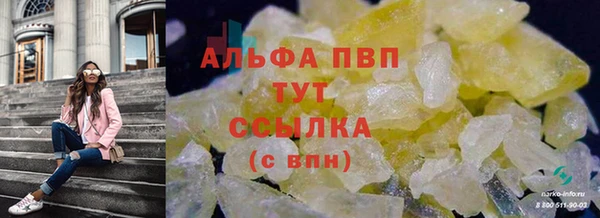 прущие крисы Вязьма