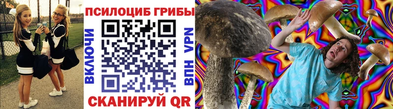 Галлюциногенные грибы Psilocybine cubensis  где купить наркотик  Енисейск 
